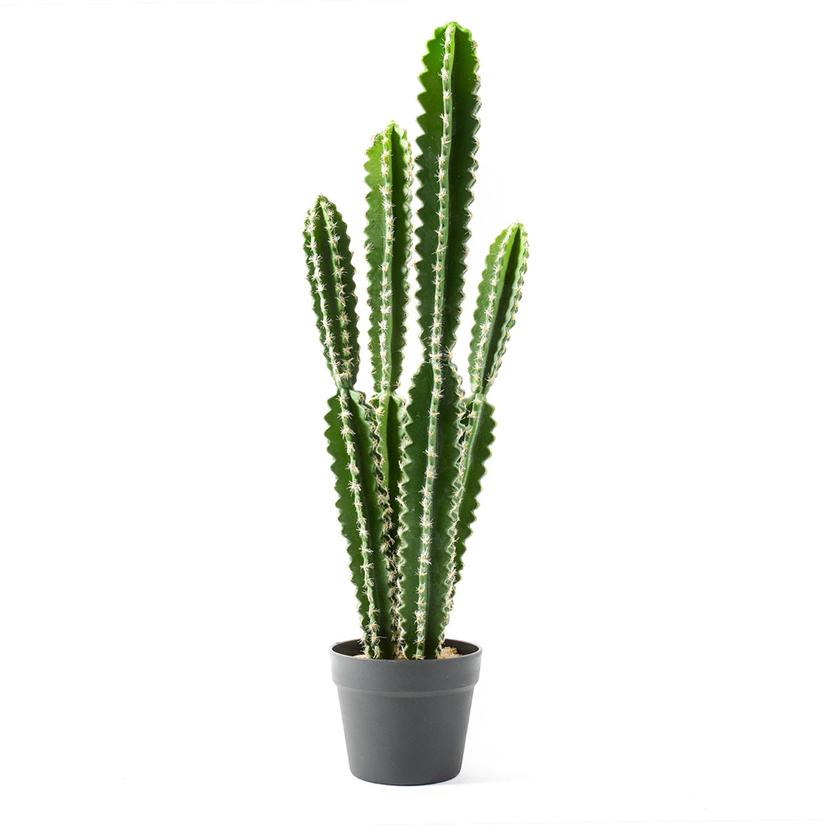 Cactus in vaso grande pianta grassa artificiale per interno ed esterno –